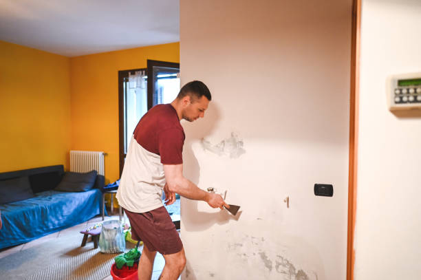 Best Insurance-Related Mold Remediation in West Memphis, AR